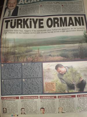 STAR GAZ.TÜRKİYE ORMANI 29.04.2002